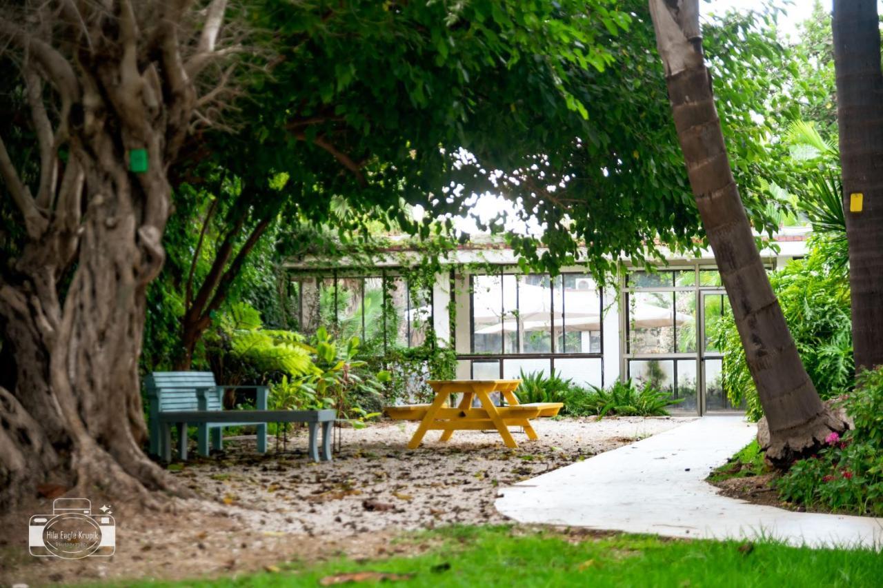 Eden Inn Zichron Ja'akov Exteriér fotografie